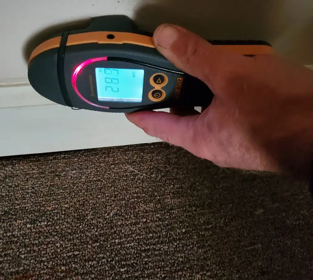 Moisture detection at baseboard during Sewage Cleanup & Sanitation in Spartanburg
